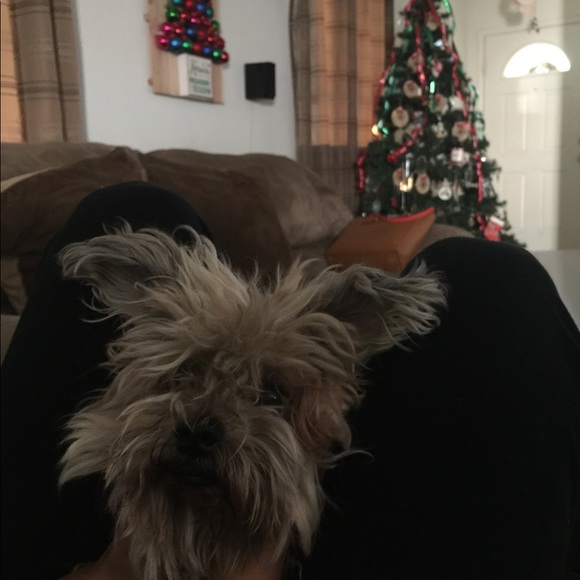 Meet Your Posher, Melody. - Picture 6 of 7